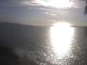 ./images/koeye/fitz-hugh/20250421/fitz-hugh20250421_181001.jpg