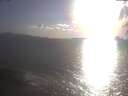 ./images/koeye/fitz-hugh/20250421/fitz-hugh20250421_183002.jpg