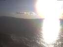 ./images/koeye/fitz-hugh/20250421/fitz-hugh20250421_184001.jpg