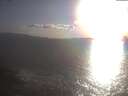 ./images/koeye/fitz-hugh/20250421/fitz-hugh20250421_184502.jpg