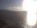 ./images/koeye/fitz-hugh/20250421/fitz-hugh20250421_185502.jpg