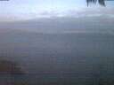 ./images/koeye/fitz-hugh/20250422/fitz-hugh20250422_053502.jpg