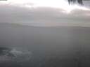 ./images/koeye/fitz-hugh/20250422/fitz-hugh20250422_065501.jpg