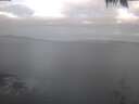 ./images/koeye/fitz-hugh/20250422/fitz-hugh20250422_071001.jpg