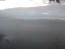 ./images/koeye/fitz-hugh/20250422/fitz-hugh20250422_073002.jpg
