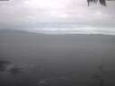 ./images/koeye/fitz-hugh/20250422/fitz-hugh20250422_081002.jpg