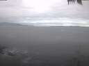 ./images/koeye/fitz-hugh/20250422/fitz-hugh20250422_082002.jpg