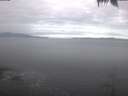 ./images/koeye/fitz-hugh/20250422/fitz-hugh20250422_083502.jpg