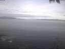 ./images/koeye/fitz-hugh/20250422/fitz-hugh20250422_090002.jpg