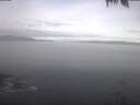 ./images/koeye/fitz-hugh/20250422/fitz-hugh20250422_090502.jpg