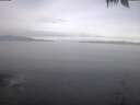./images/koeye/fitz-hugh/20250422/fitz-hugh20250422_091002.jpg