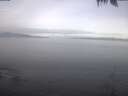 ./images/koeye/fitz-hugh/20250422/fitz-hugh20250422_091502.jpg