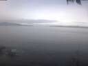 ./images/koeye/fitz-hugh/20250422/fitz-hugh20250422_093001.jpg
