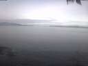./images/koeye/fitz-hugh/20250422/fitz-hugh20250422_094001.jpg