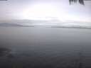 ./images/koeye/fitz-hugh/20250422/fitz-hugh20250422_094501.jpg