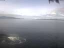 ./images/koeye/fitz-hugh/20250422/fitz-hugh20250422_110002.jpg