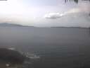 ./images/koeye/fitz-hugh/20250422/fitz-hugh20250422_141002.jpg