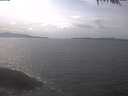 ./images/koeye/fitz-hugh/20250422/fitz-hugh20250422_152002.jpg