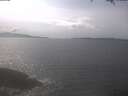 ./images/koeye/fitz-hugh/20250422/fitz-hugh20250422_152502.jpg