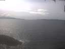 ./images/koeye/fitz-hugh/20250422/fitz-hugh20250422_153002.jpg
