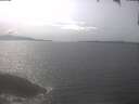 ./images/koeye/fitz-hugh/20250422/fitz-hugh20250422_153502.jpg