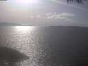 ./images/koeye/fitz-hugh/20250422/fitz-hugh20250422_162001.jpg
