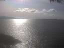 ./images/koeye/fitz-hugh/20250422/fitz-hugh20250422_163002.jpg