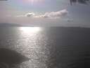 ./images/koeye/fitz-hugh/20250422/fitz-hugh20250422_163501.jpg