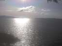 ./images/koeye/fitz-hugh/20250422/fitz-hugh20250422_164001.jpg