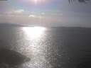 ./images/koeye/fitz-hugh/20250422/fitz-hugh20250422_164501.jpg