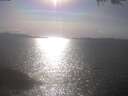 ./images/koeye/fitz-hugh/20250422/fitz-hugh20250422_165501.jpg