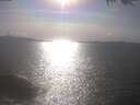 ./images/koeye/fitz-hugh/20250422/fitz-hugh20250422_170002.jpg