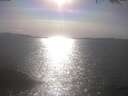 ./images/koeye/fitz-hugh/20250422/fitz-hugh20250422_170502.jpg