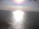 ./images/koeye/fitz-hugh/20250422/fitz-hugh20250422_171002.jpg