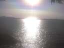 ./images/koeye/fitz-hugh/20250422/fitz-hugh20250422_171502.jpg