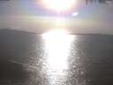 ./images/koeye/fitz-hugh/20250422/fitz-hugh20250422_172002.jpg