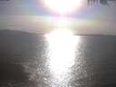 ./images/koeye/fitz-hugh/20250422/fitz-hugh20250422_172502.jpg
