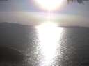 ./images/koeye/fitz-hugh/20250422/fitz-hugh20250422_173002.jpg