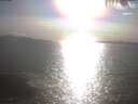./images/koeye/fitz-hugh/20250422/fitz-hugh20250422_174002.jpg