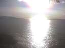 ./images/koeye/fitz-hugh/20250422/fitz-hugh20250422_174502.jpg