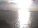 ./images/koeye/fitz-hugh/20250422/fitz-hugh20250422_175002.jpg