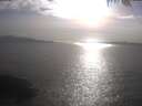 ./images/koeye/fitz-hugh/20250422/fitz-hugh20250422_175502.jpg