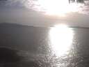 ./images/koeye/fitz-hugh/20250422/fitz-hugh20250422_180502.jpg