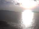 ./images/koeye/fitz-hugh/20250422/fitz-hugh20250422_181002.jpg