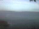 ./images/koeye/fitz-hugh/20250423/fitz-hugh20250423_053502.jpg