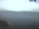 ./images/koeye/fitz-hugh/20250423/fitz-hugh20250423_054002.jpg