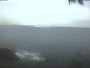 ./images/koeye/fitz-hugh/20250423/fitz-hugh20250423_054502.jpg