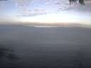 ./images/koeye/fitz-hugh/20250423/fitz-hugh20250423_072501.jpg
