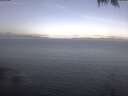 ./images/koeye/fitz-hugh/20250423/fitz-hugh20250423_083502.jpg