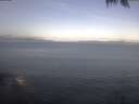 ./images/koeye/fitz-hugh/20250423/fitz-hugh20250423_084002.jpg